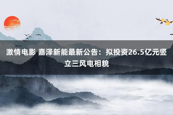 激情电影 嘉泽新能最新公告：拟投资26.5亿元竖立三风电相貌