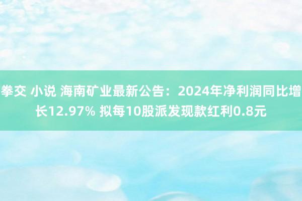 拳交 小说 海南矿业最新公告：2024年净利润同比增长12.97% 拟每10股派发现款红利0.8元