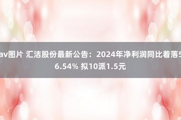 av图片 汇洁股份最新公告：2024年净利润同比着落56.54% 拟10派1.5元