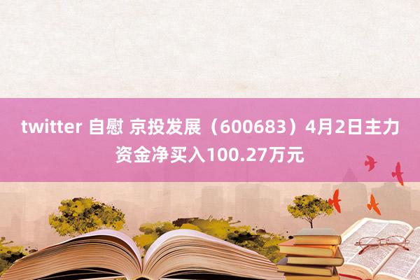 twitter 自慰 京投发展（600683）4月2日主力资金净买入100.27万元