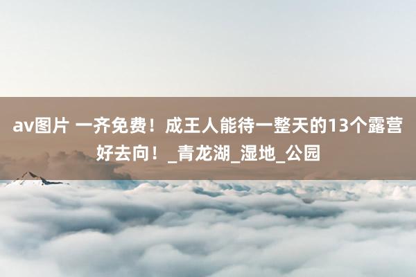 av图片 一齐免费！成王人能待一整天的13个露营好去向！_青龙湖_湿地_公园