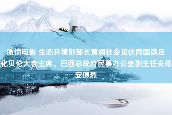 激情电影 生态环境部部长黄润秋会见伙同国满足变化贝伦大会主席、巴西总统府民事办公室副主任安德烈