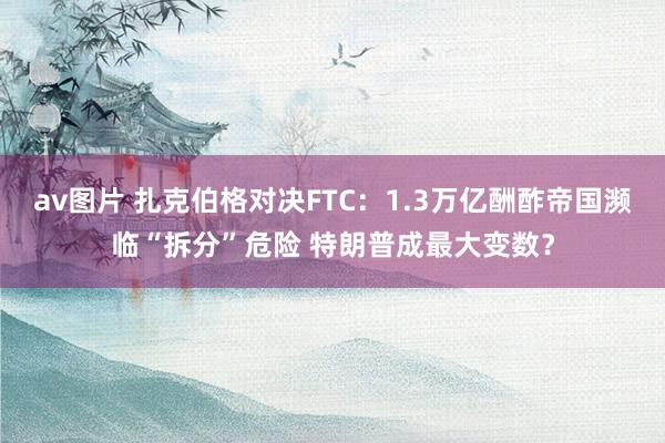 av图片 扎克伯格对决FTC：1.3万亿酬酢帝国濒临“拆分”危险 特朗普成最大变数？