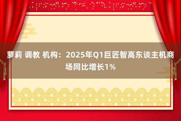 萝莉 调教 机构：2025年Q1巨匠智高东谈主机商场同比增长1%