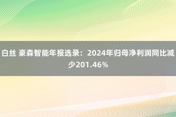 白丝 豪森智能年报选录：2024年归母净利润同比减少201.46%