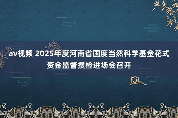 av视频 2025年度河南省国度当然科学基金花式资金监督搜检进场会召开