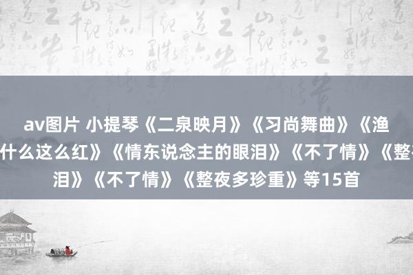 av图片 小提琴《二泉映月》《习尚舞曲》《渔舟唱晚》《花儿为什么这么红》《情东说念主的眼泪》《不了情》《整夜多珍重》等15首