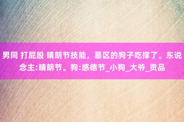 男同 打屁股 晴朗节技能，墓区的狗子吃撑了。东说念主:晴朗节。狗:感德节_小狗_大爷_贡品
