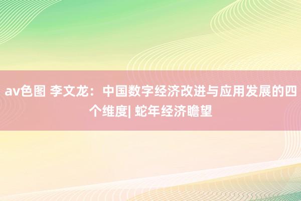 av色图 李文龙：中国数字经济改进与应用发展的四个维度| 蛇年经济瞻望