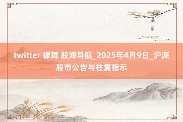 twitter 裸舞 股海导航_2025年4月9日_沪深股市公告与往复指示