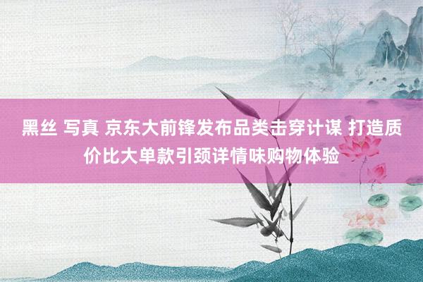 黑丝 写真 京东大前锋发布品类击穿计谋 打造质价比大单款引颈详情味购物体验