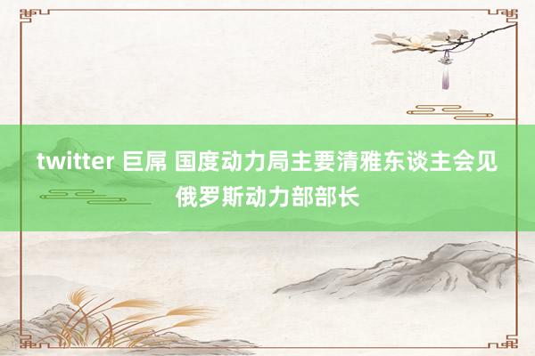 twitter 巨屌 国度动力局主要清雅东谈主会见俄罗斯动力部部长
