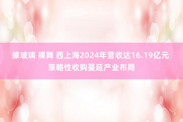 擦玻璃 裸舞 西上海2024年营收达16.19亿元 策略性收购蔓延产业布局