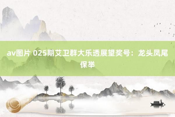 av图片 025期艾卫群大乐透展望奖号：龙头凤尾保举