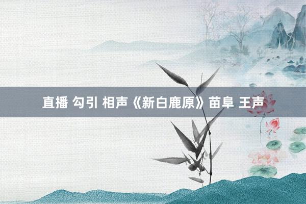 直播 勾引 相声《新白鹿原》苗阜 王声